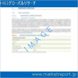 市場と産業調査レポートのイメージ